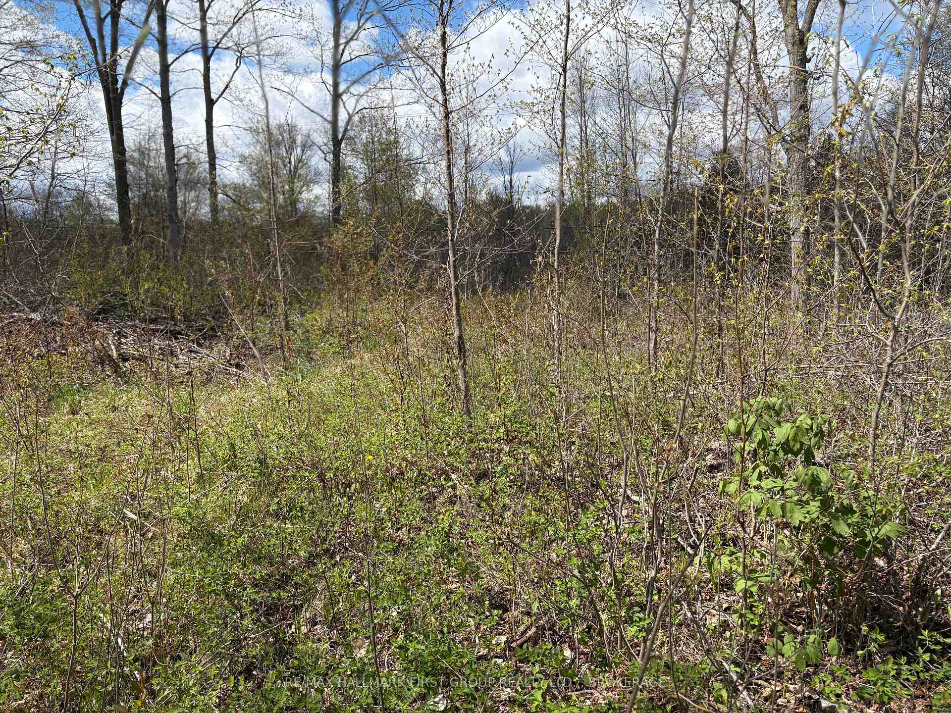 Photo 20 of Lot 0 County Road 38, Frontenac, Frontenac Centre — HOMEH