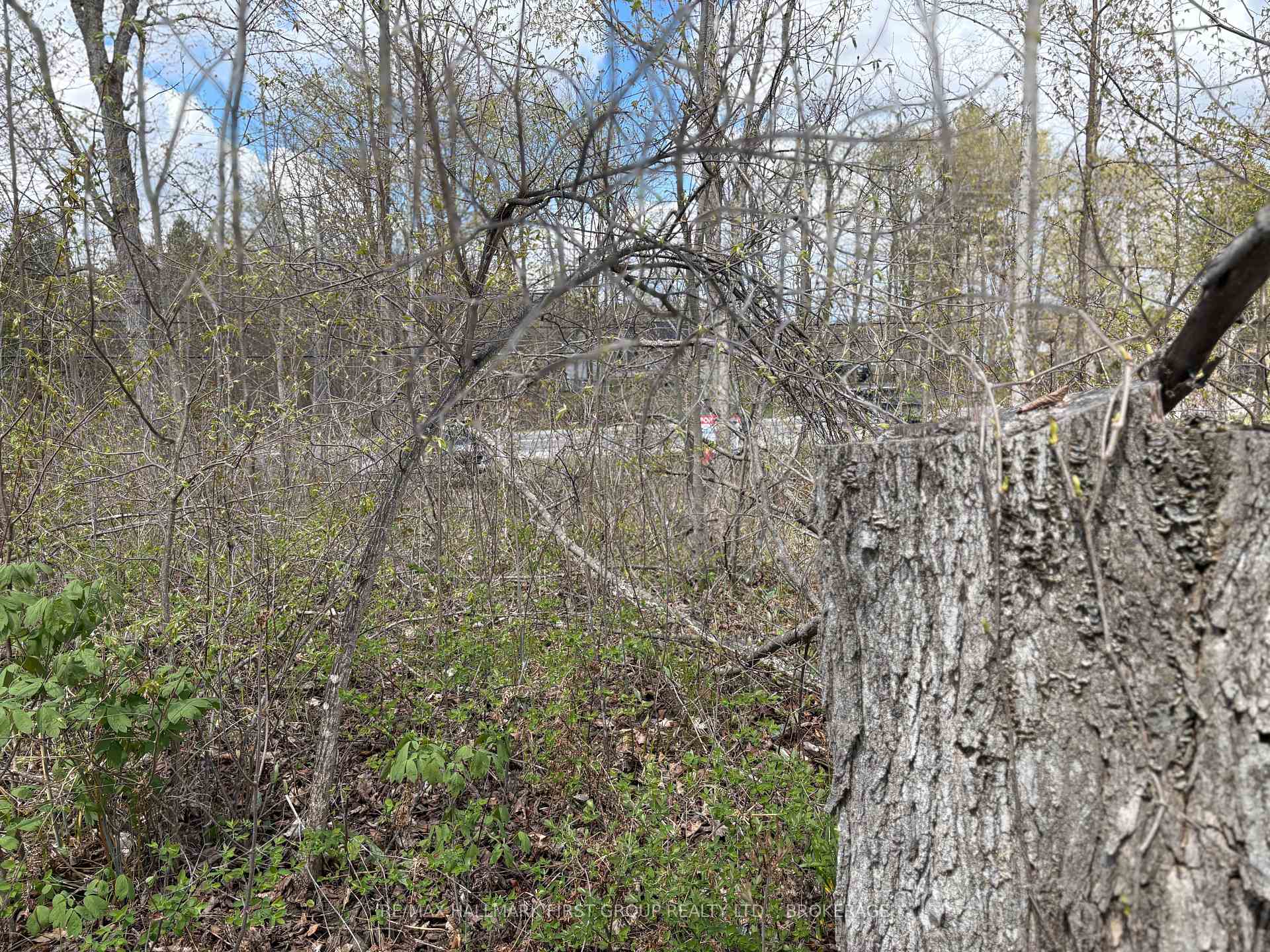 Photo 21 of Lot 0 County Road 38, Frontenac, Frontenac Centre — HOMEH