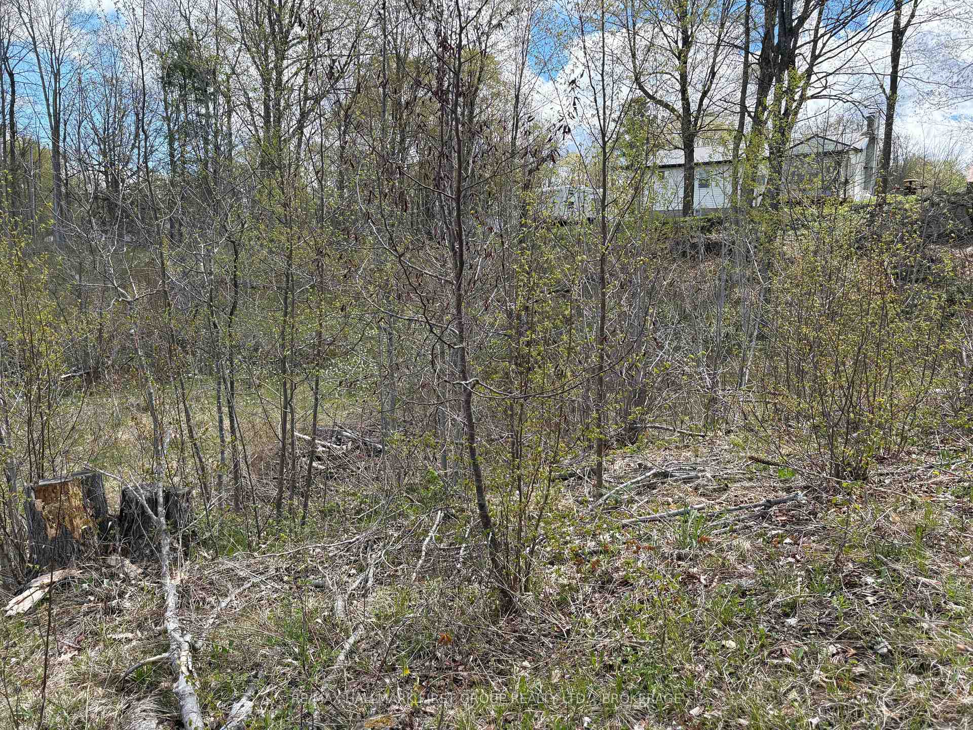 Photo 22 of Lot 0 County Road 38, Frontenac, Frontenac Centre — HOMEH