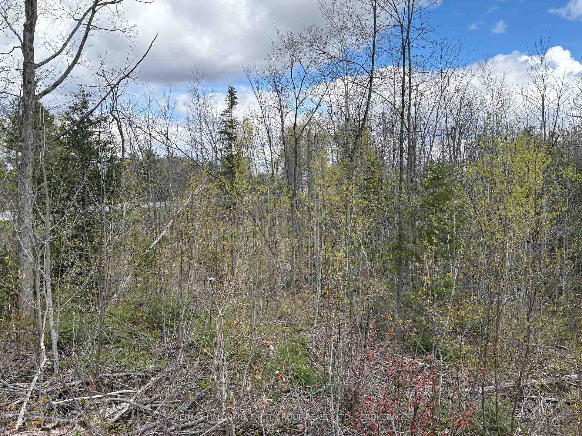 Photo 24 of Lot 0 County Road 38, Frontenac, Frontenac Centre — HOMEH