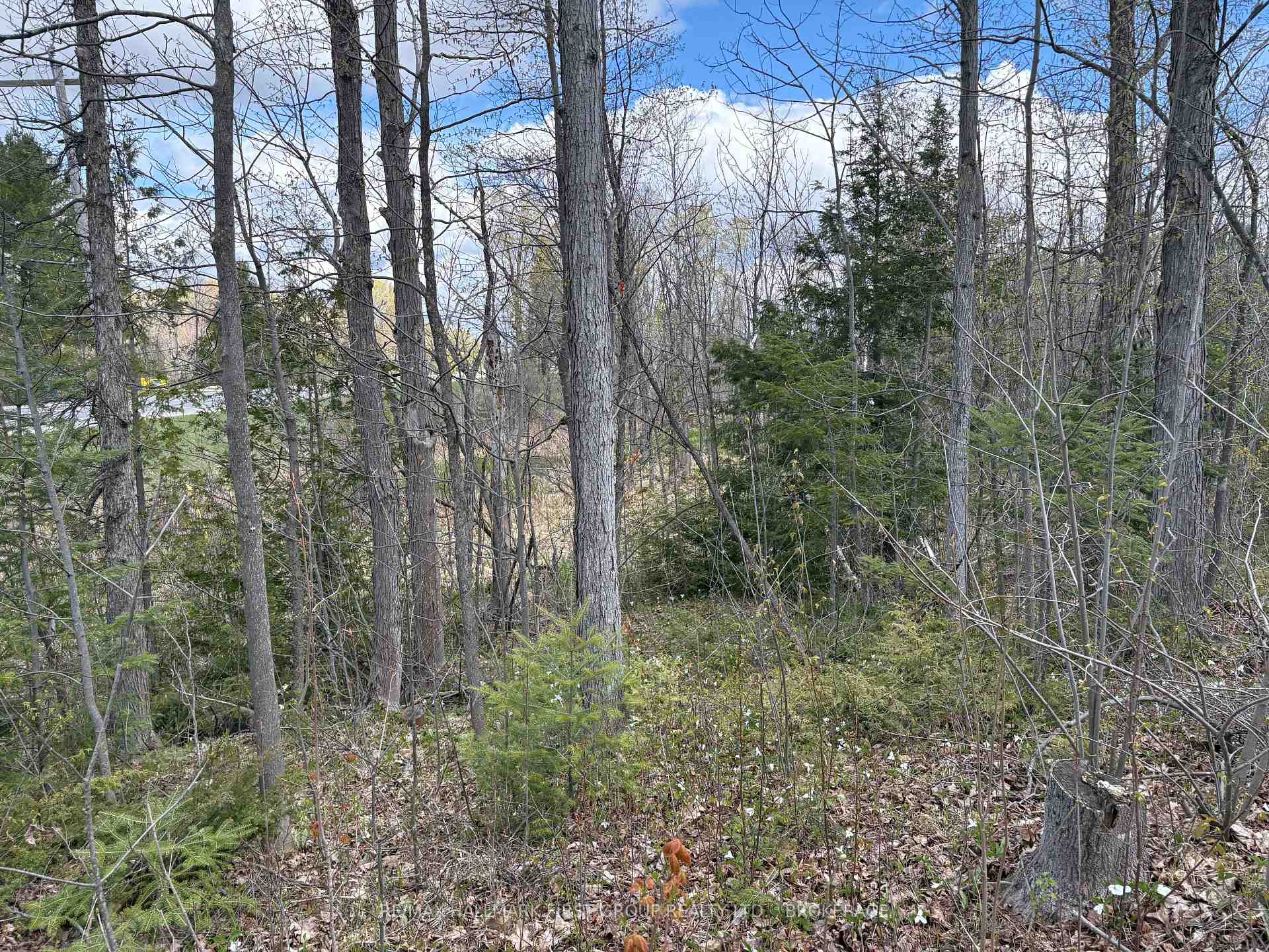 Photo 25 of Lot 0 County Road 38, Frontenac, Frontenac Centre — HOMEH