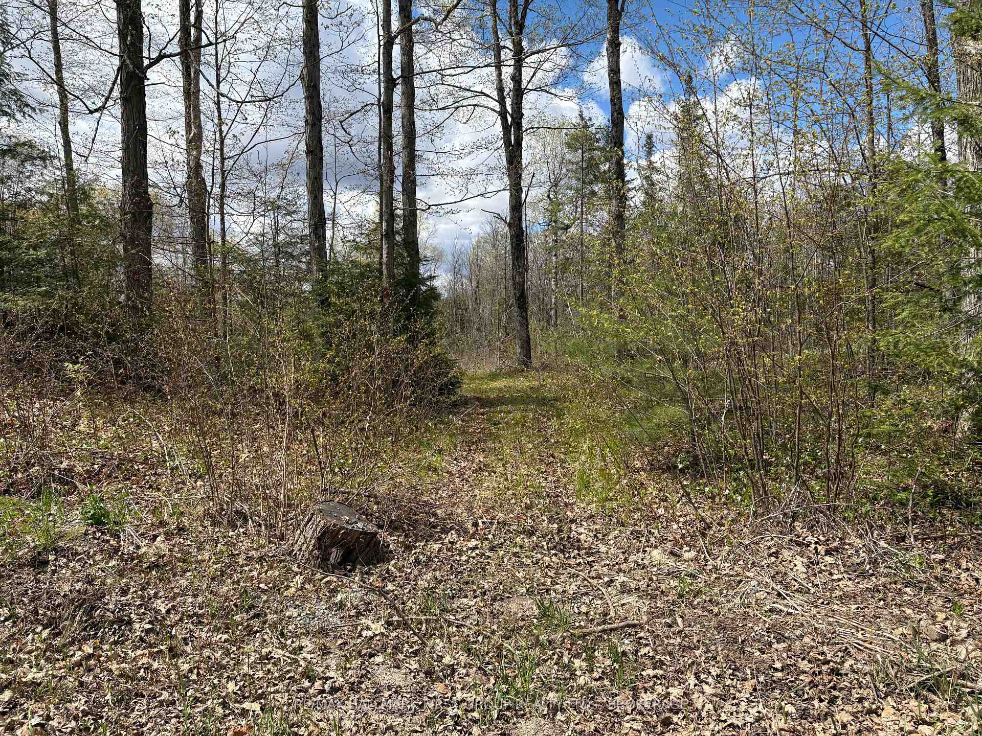 Photo 39 of Lot 0 County Road 38, Frontenac, Frontenac Centre — HOMEH