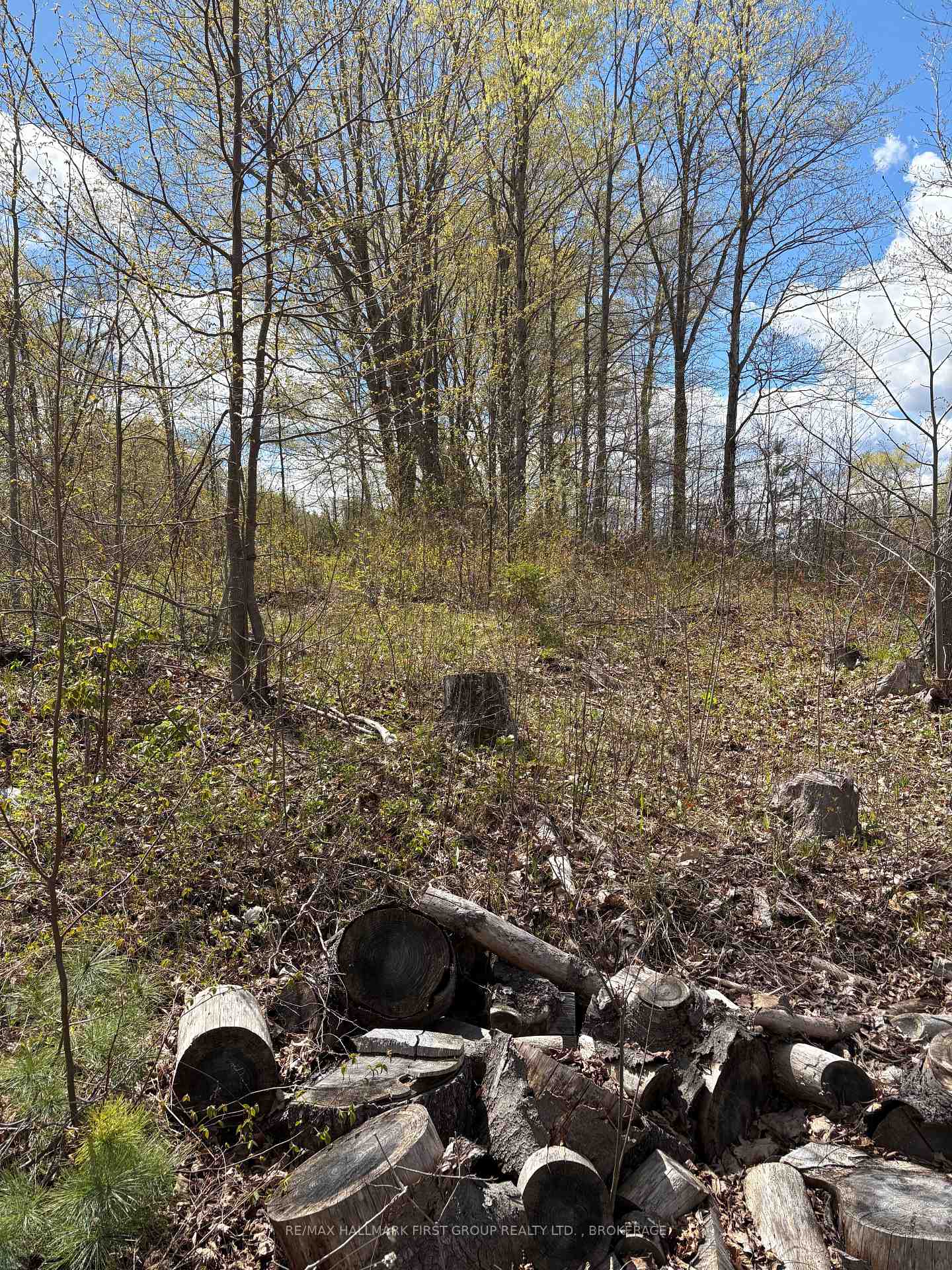 Photo 40 of Lot 0 County Road 38, Frontenac, Frontenac Centre — HOMEH