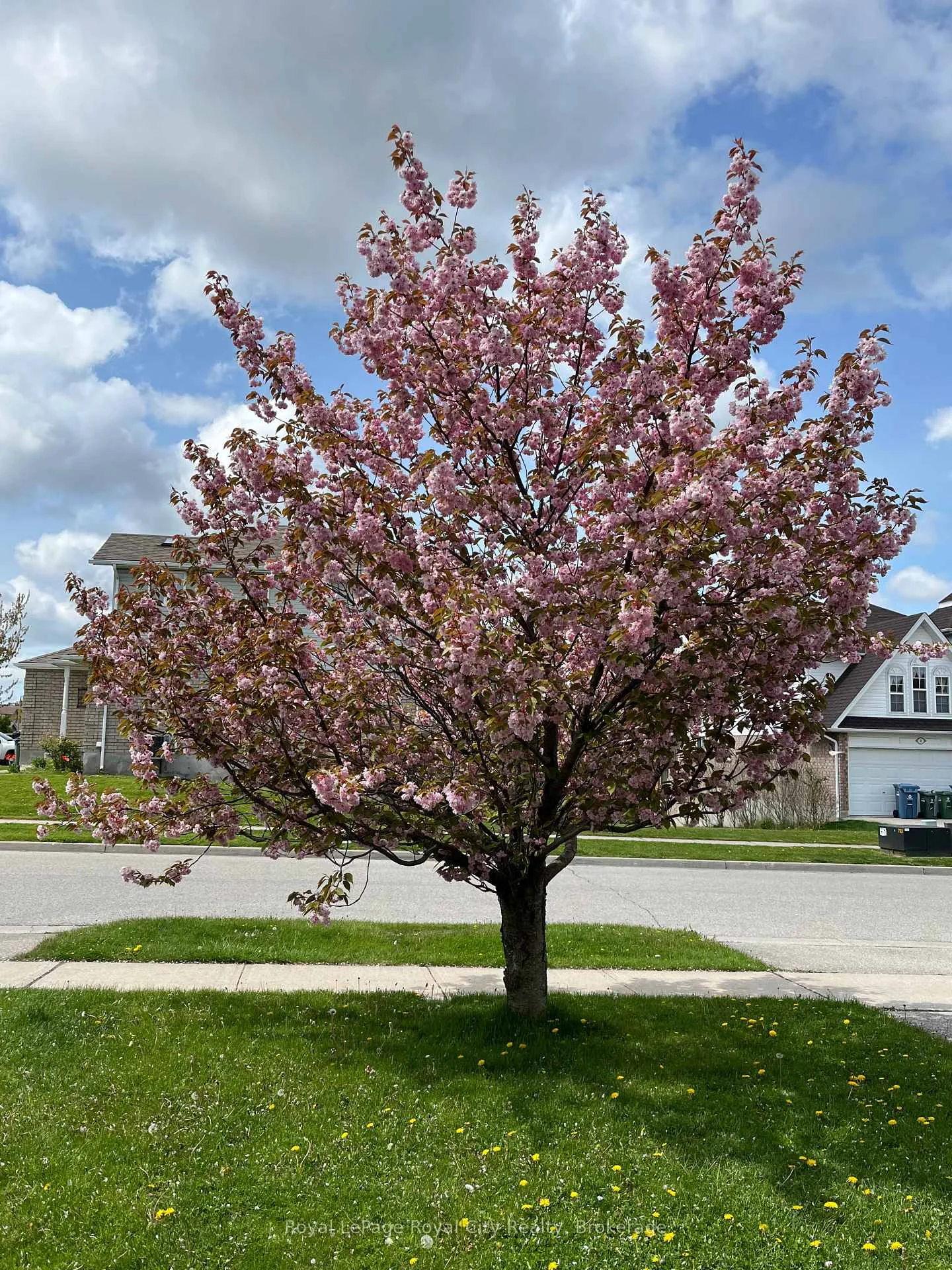 Photo 36 of 3 Munroe Crescent, Guelph, Clairfields/Hanlon Business Park — HOMEH