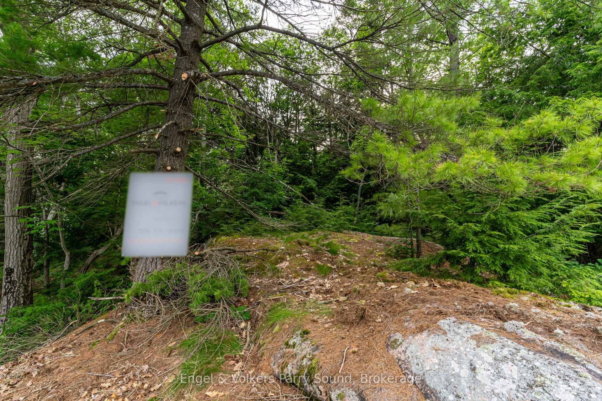 Photo 23 of 16 Giles Road, Seguin — HOMEH