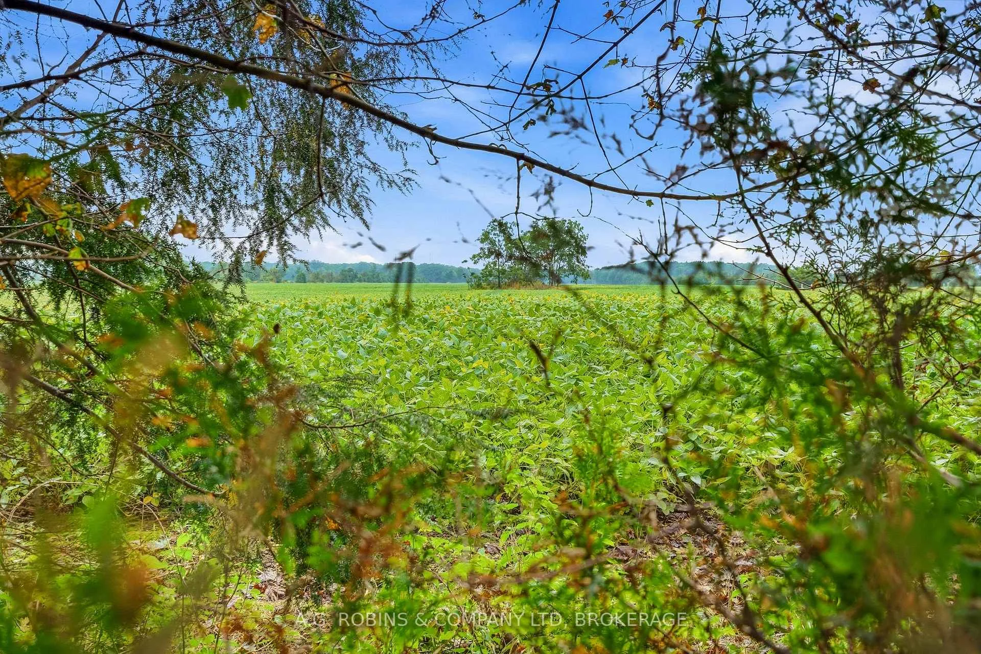 Photo 29 of 12040 Lakeshore Road, Wainfleet, Lakeshore — HOMEH