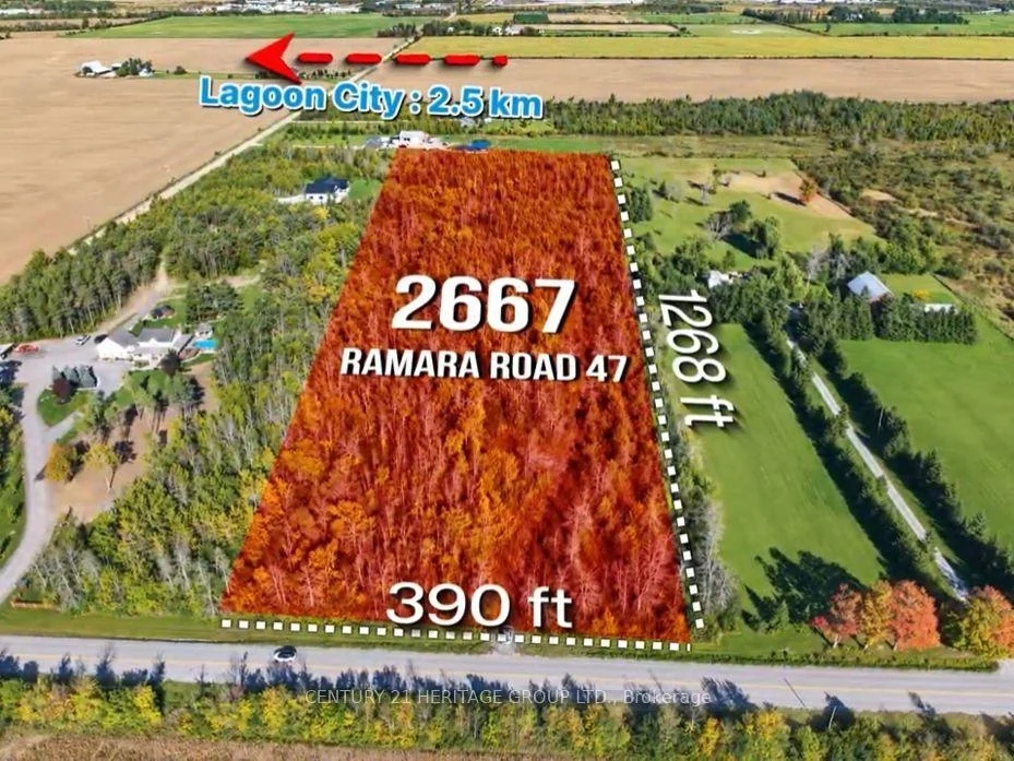 Photo 3 of 2667 Ramara 47 Road, Ramara, Brechin — HOMEH