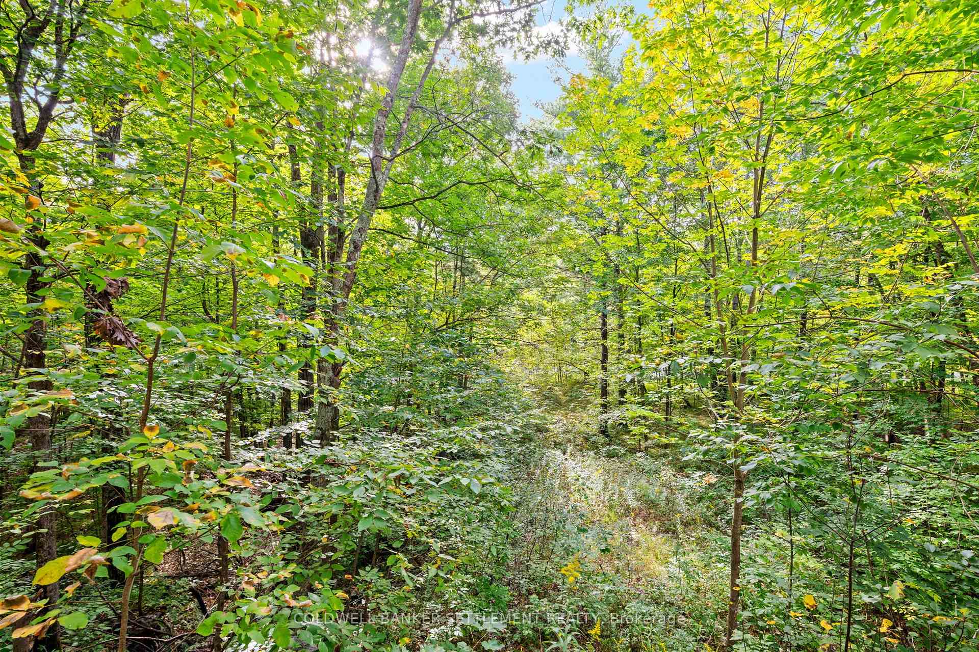 Photo 45 of 396 Dokken Road, Tay Valley, Bathurst/Burgess & Sherbrooke (Bathurst) Twp — HOMEH