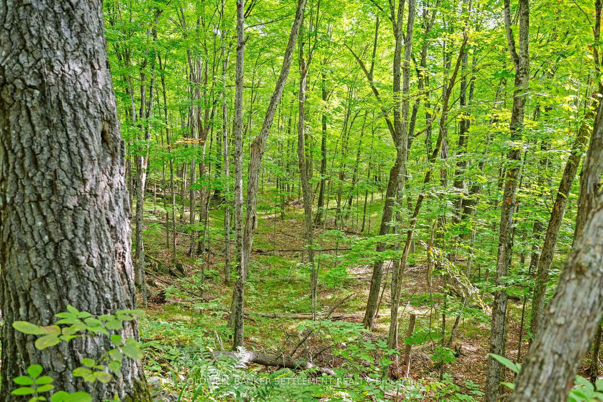 Photo 49 of 396 Dokken Road, Tay Valley, Bathurst/Burgess & Sherbrooke (Bathurst) Twp — HOMEH