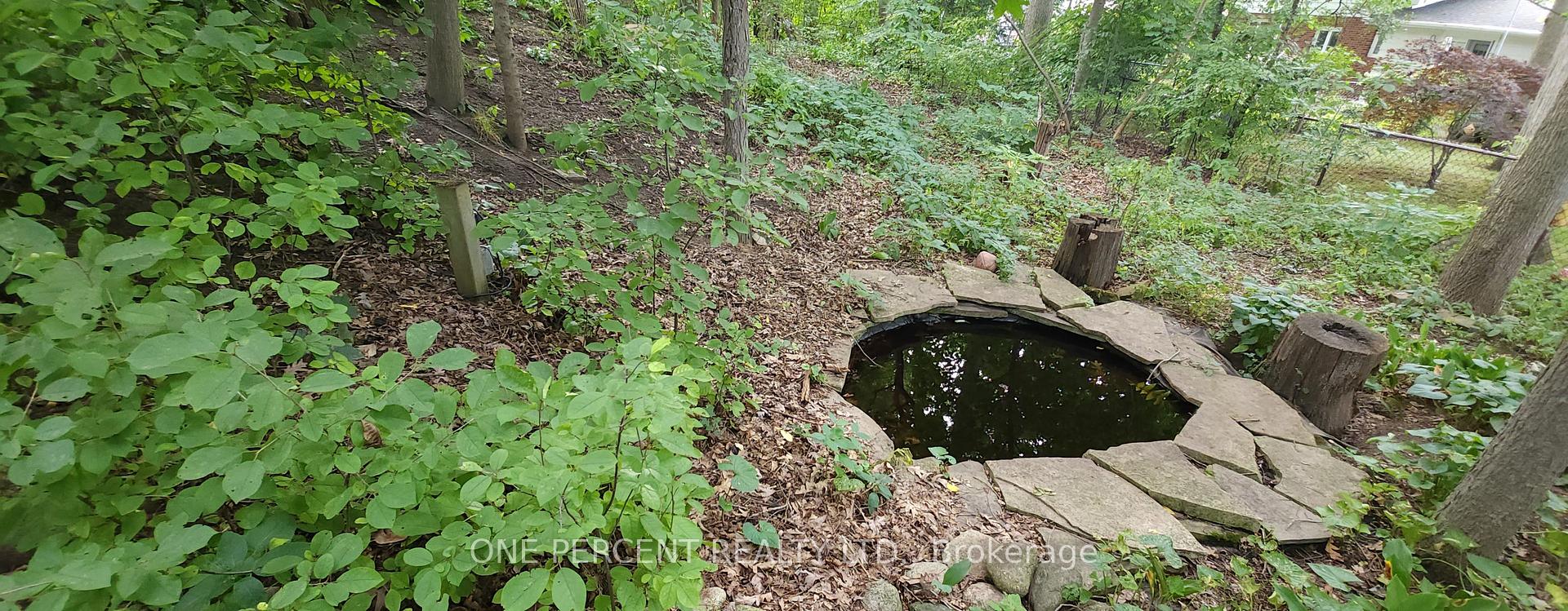 Photo 46 of 86 Haliburton Road, London, South K — HOMEH