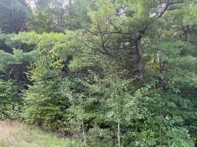 Photo 9 of 4900 County Rd 4, Stone Mills, Stone Mills — HOMEH
