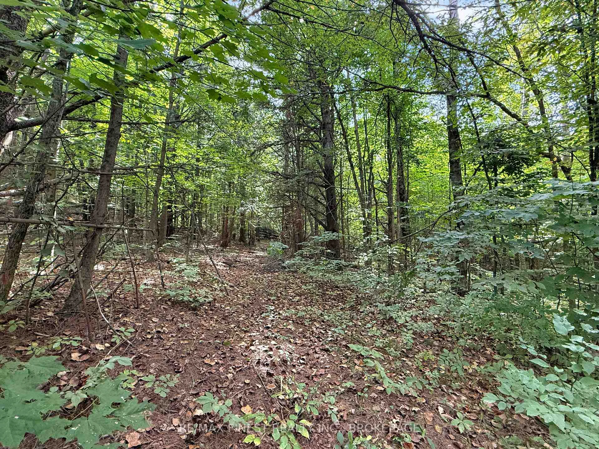 Photo 1 of 4900 County Rd 4, Stone Mills, Stone Mills — HOMEH