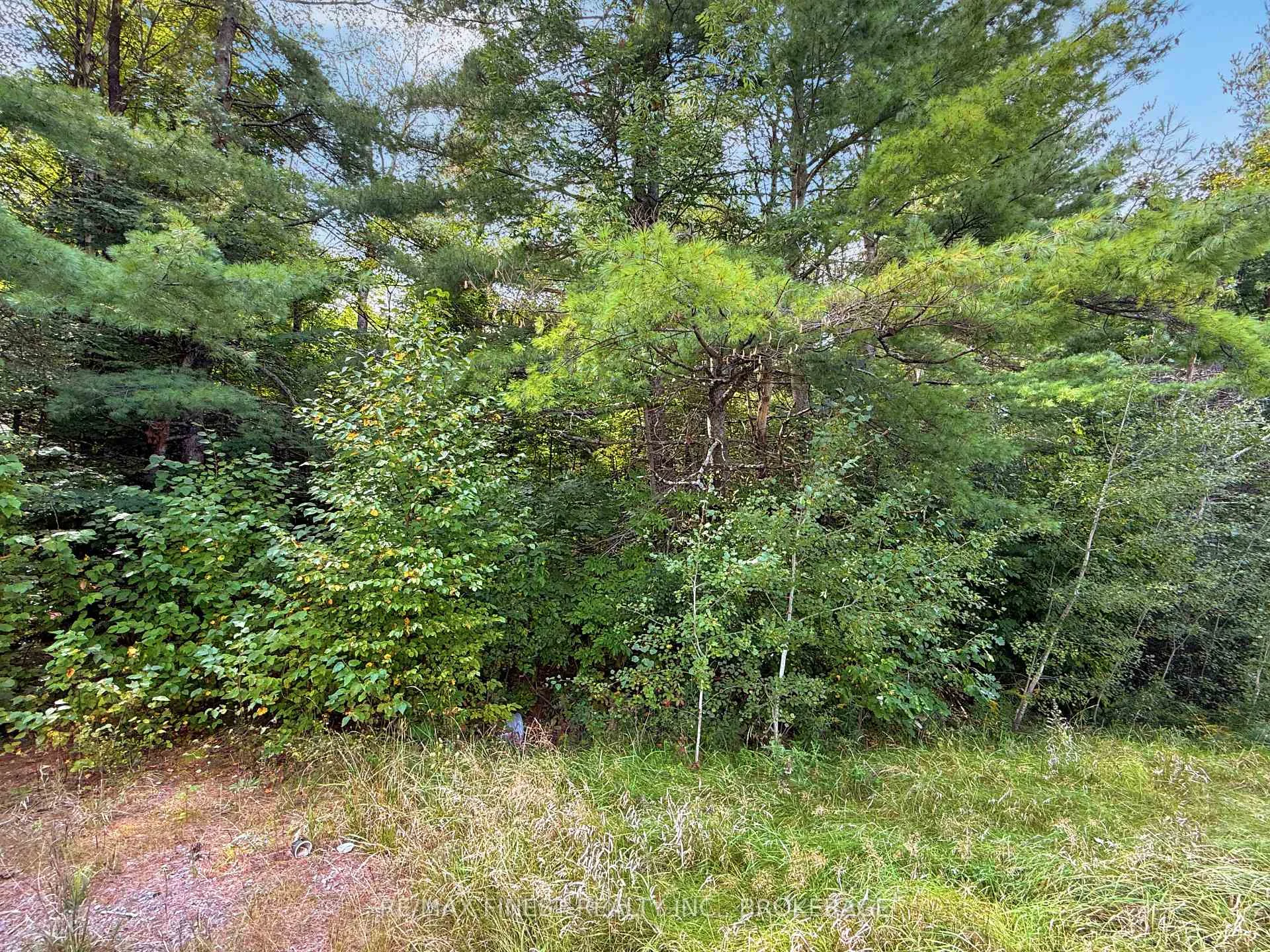 Photo 2 of 4900 County Rd 4, Stone Mills, Stone Mills — HOMEH