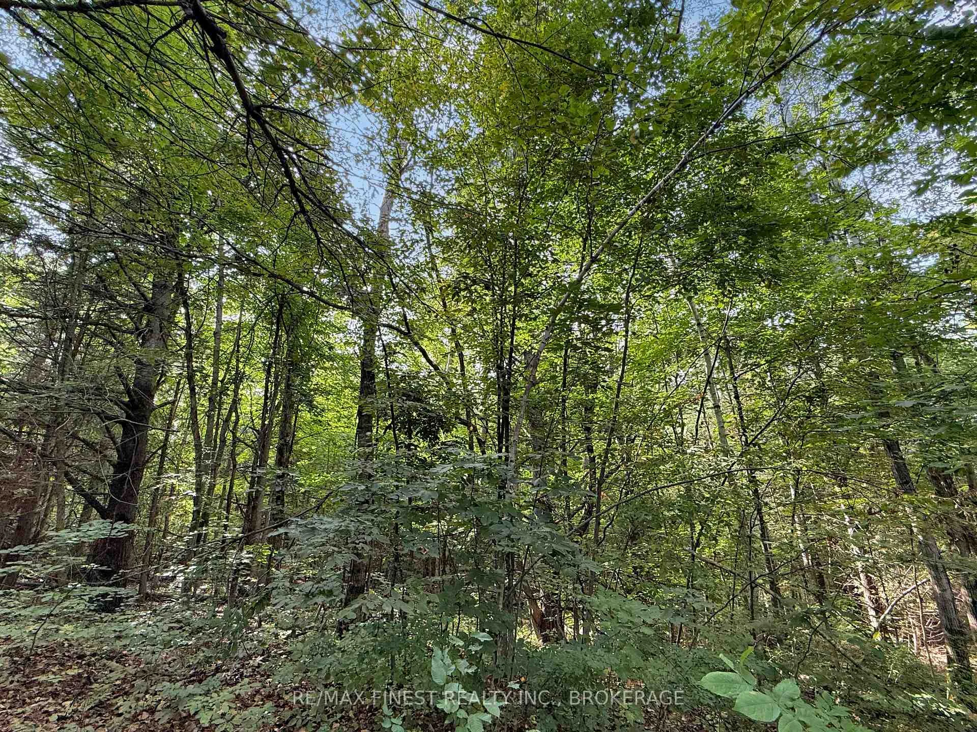 Photo 5 of 4900 County Rd 4, Stone Mills, Stone Mills — HOMEH