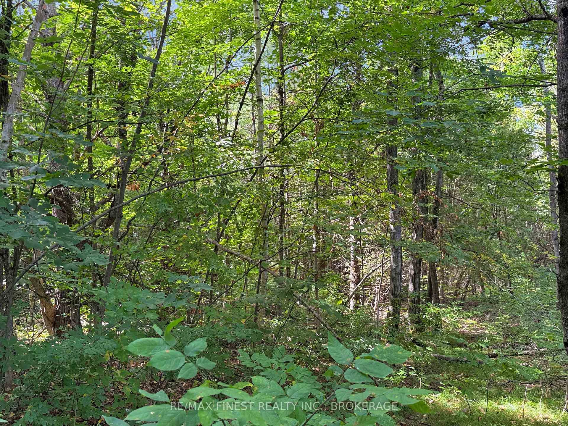 Photo 6 of 4900 County Rd 4, Stone Mills, Stone Mills — HOMEH