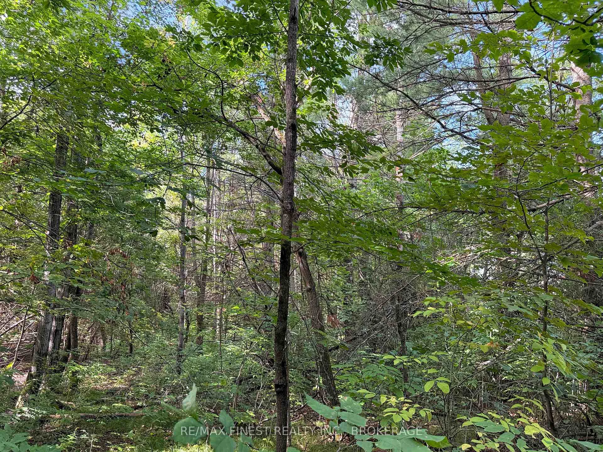 Photo 7 of 4900 County Rd 4, Stone Mills, Stone Mills — HOMEH