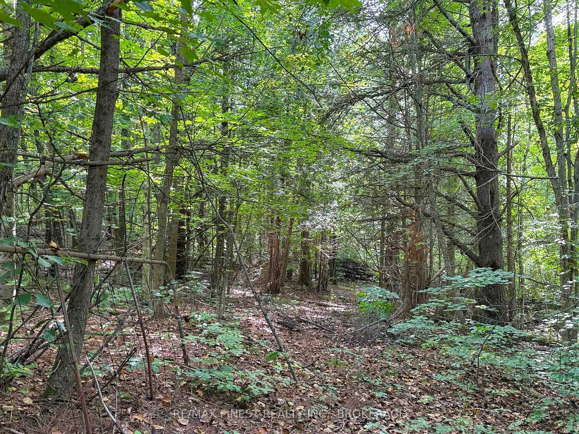 Photo 8 of 4900 County Rd 4, Stone Mills, Stone Mills — HOMEH