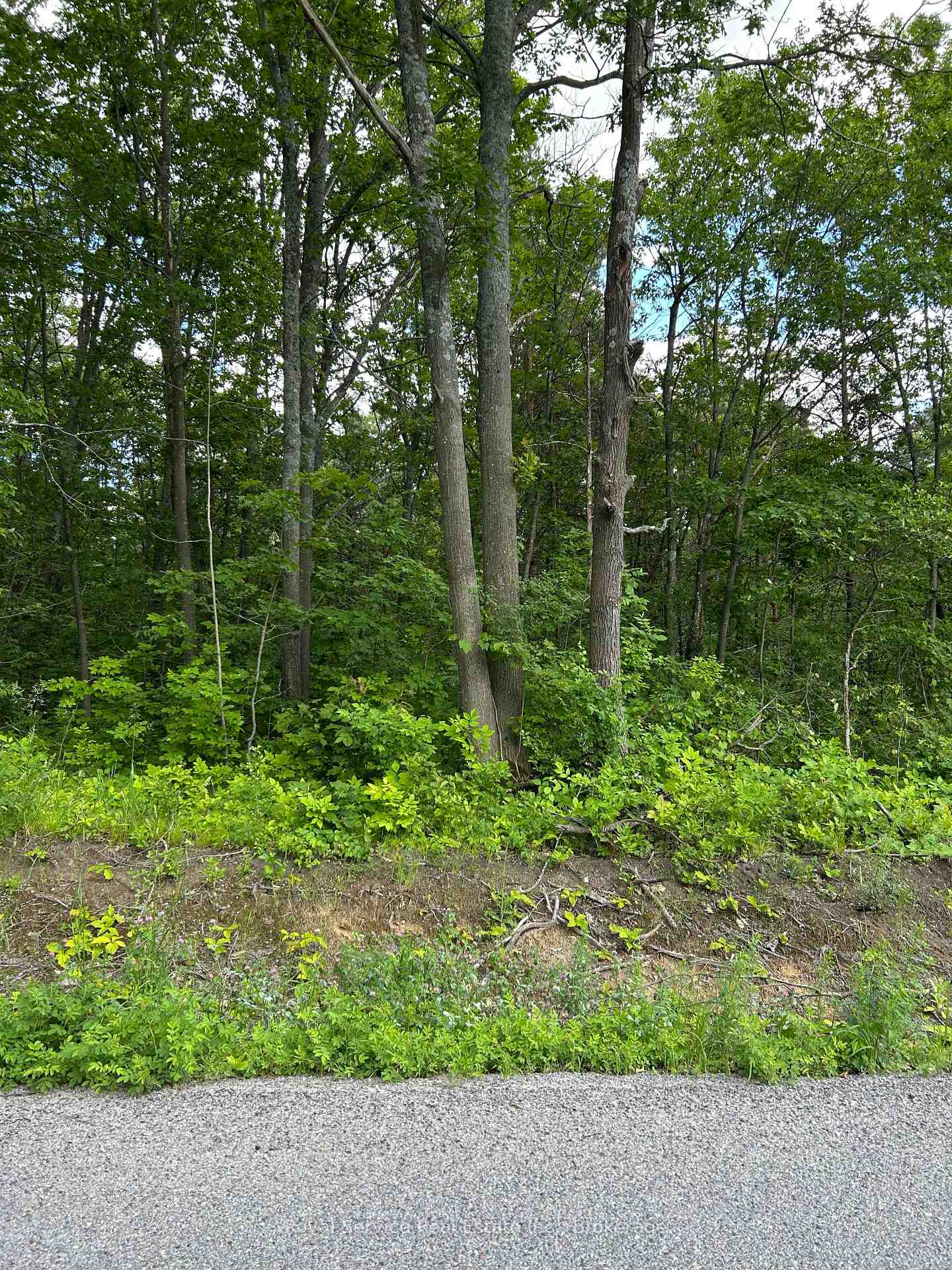 Photo of 100, 104, and 106 Dingman Road