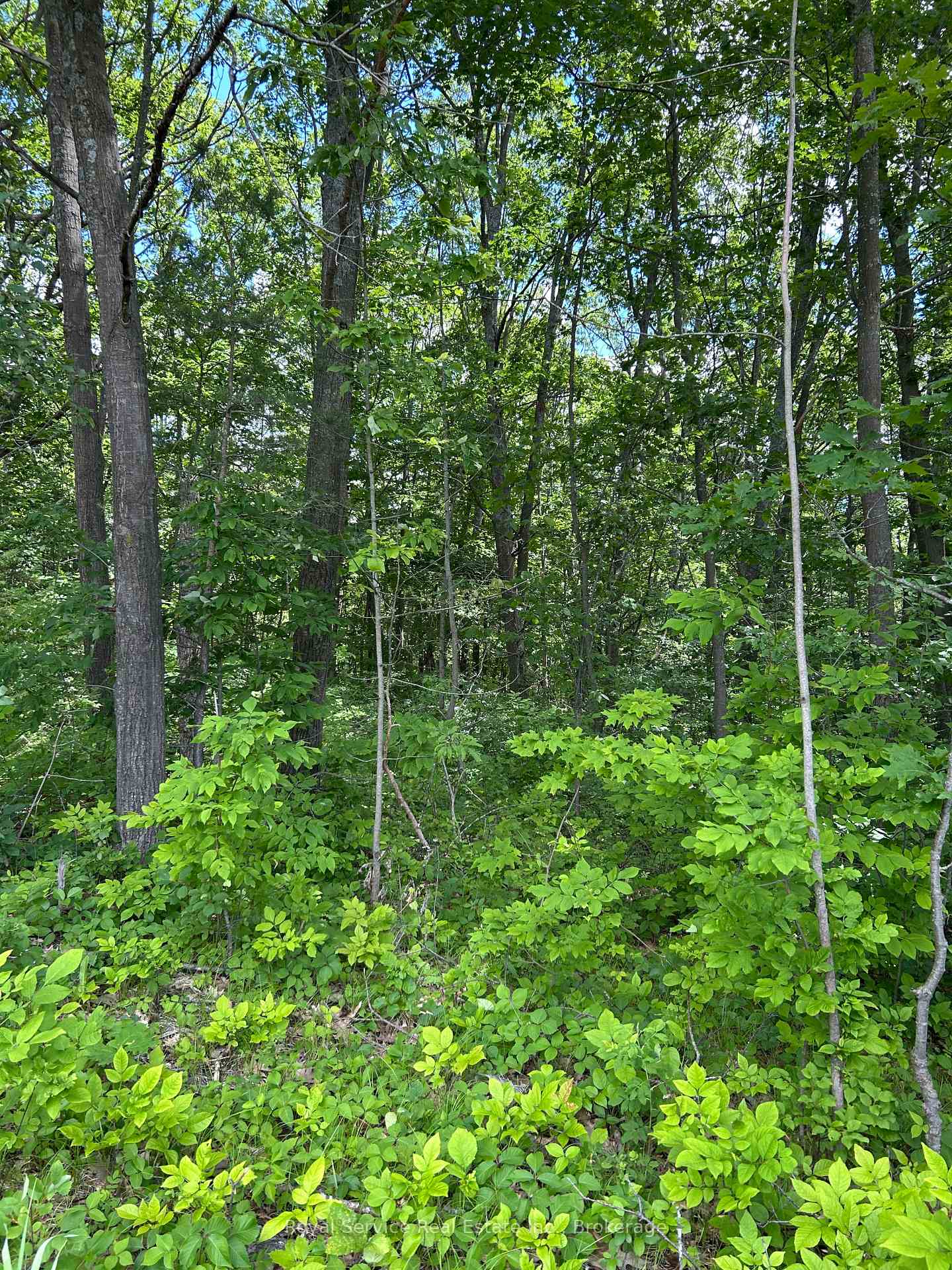 Photo of 101, 102 and 103 Dingman Road