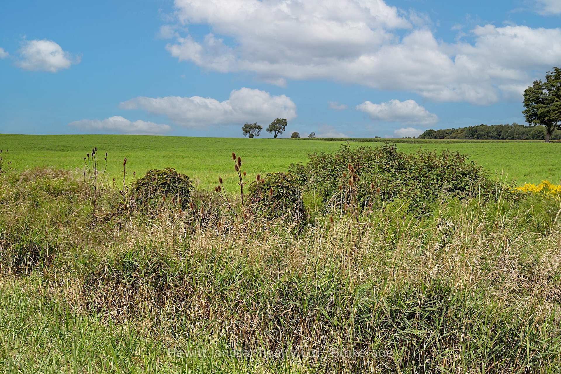 Photo 9 of 963997 96 Road, Zorra, Rural Zorra — HOMEH