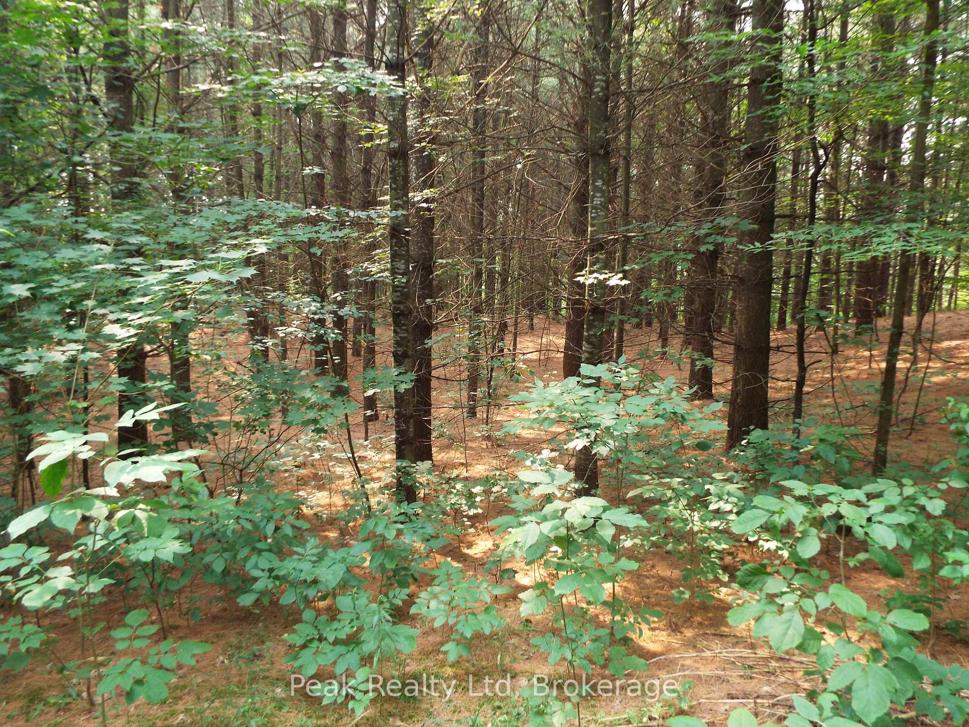 Photo 18 of 1575 Concession 10, South Bruce — HOMEH