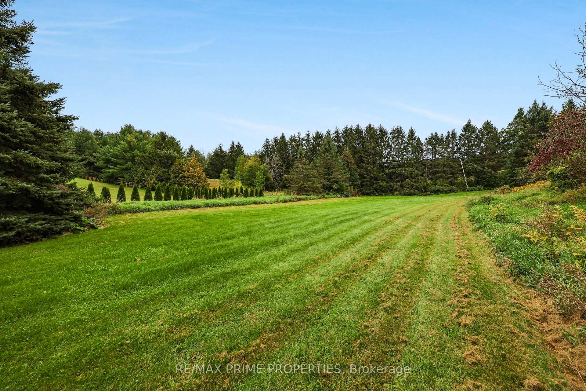 Photo 42 of 20369 Centre Street, East Gwillimbury, Rural East Gwillimbury — HOMEH