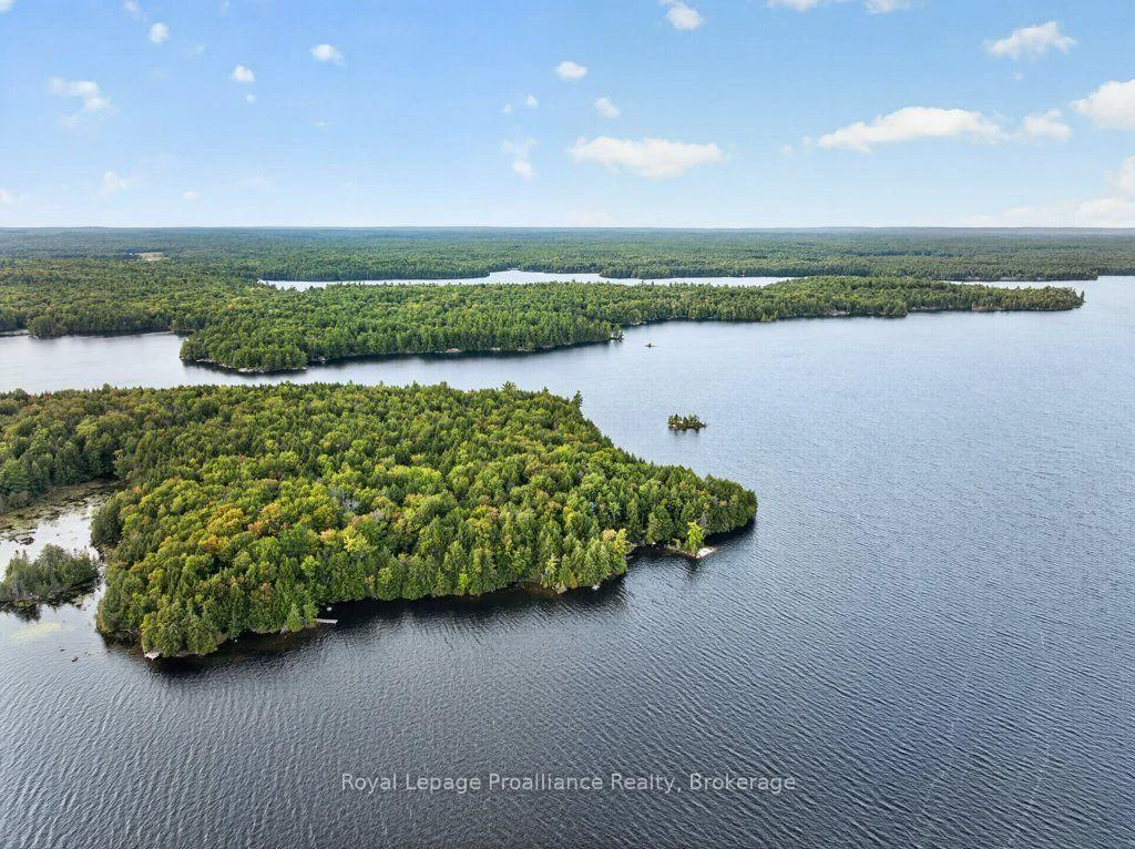 Photo 78 of 1214 Big Gull Lane, Central Frontenac, Frontenac Centre — HOMEH