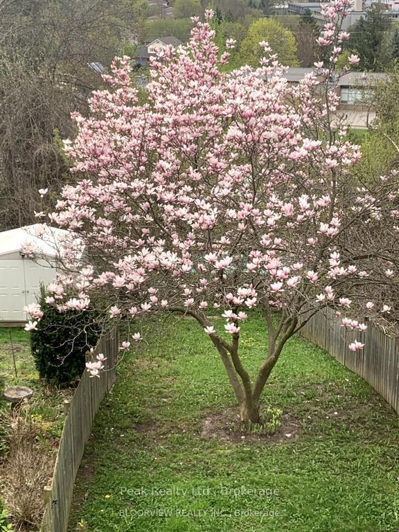 Photo 45 of 1673 Applewood Crescent, Peterborough, Monaghan Ward 2 — HOMEH