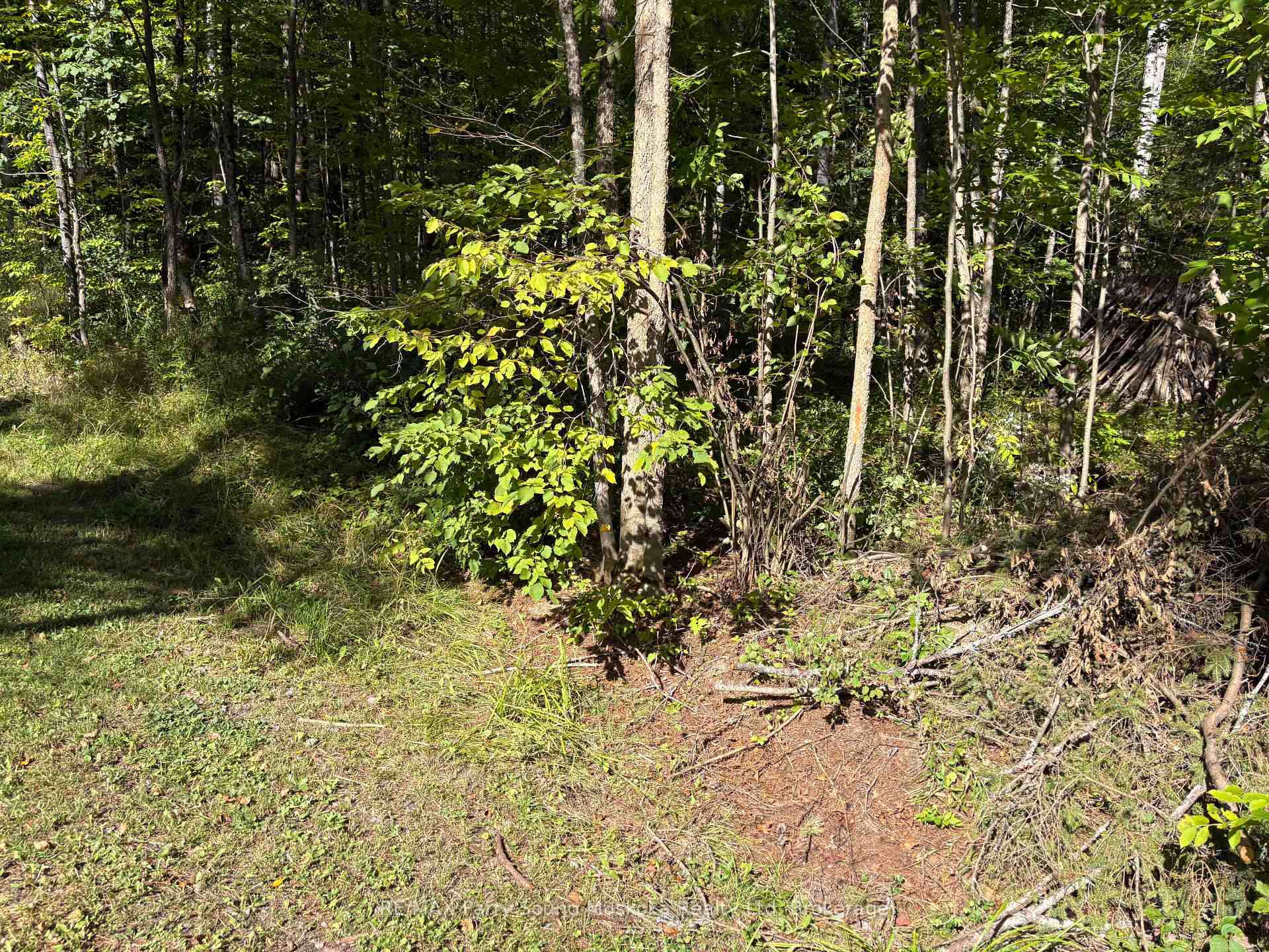 Photo of 0 Pine Road