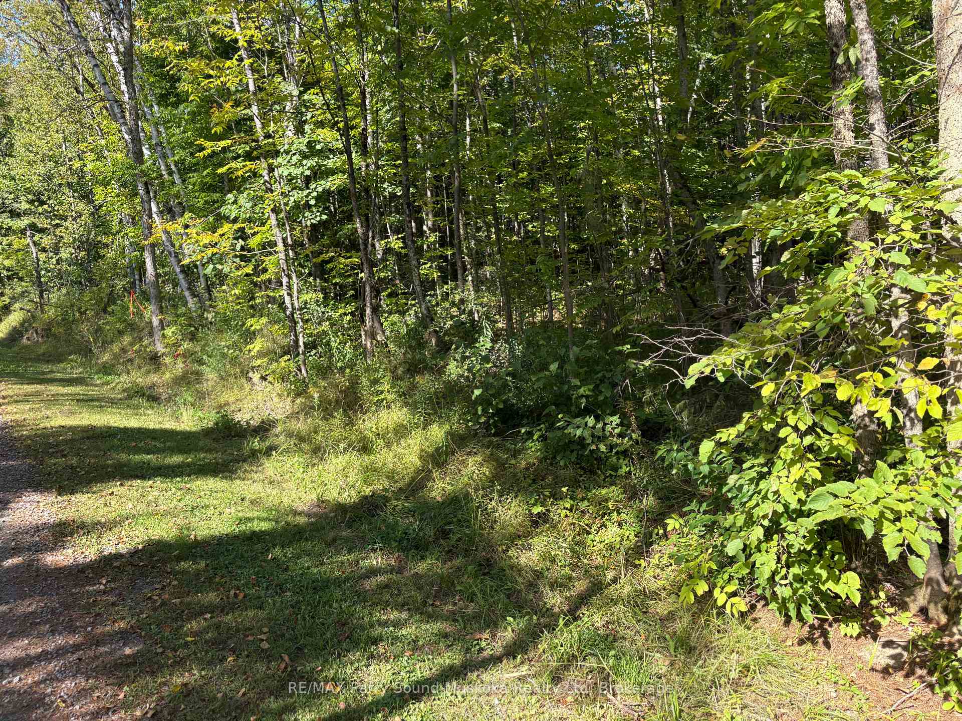 Photo 2 of Pine Road, Magnetawan — HOMEH