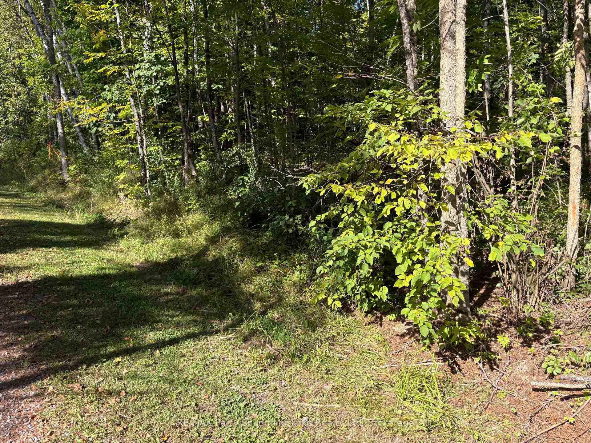Photo 3 of Pine Road, Magnetawan — HOMEH