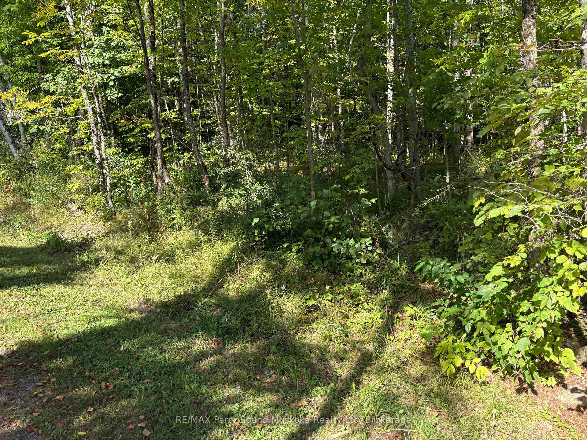 Photo 4 of Pine Road, Magnetawan — HOMEH