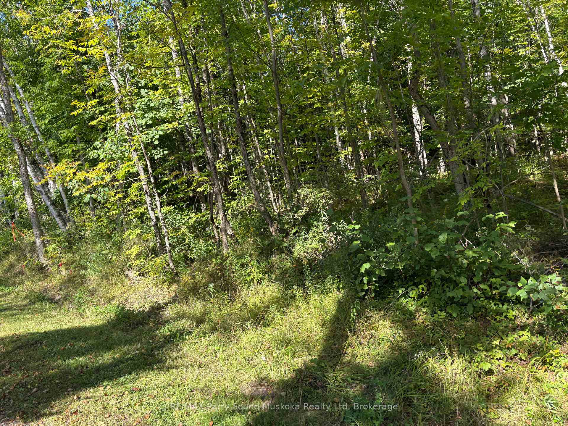 Photo 5 of Pine Road, Magnetawan — HOMEH