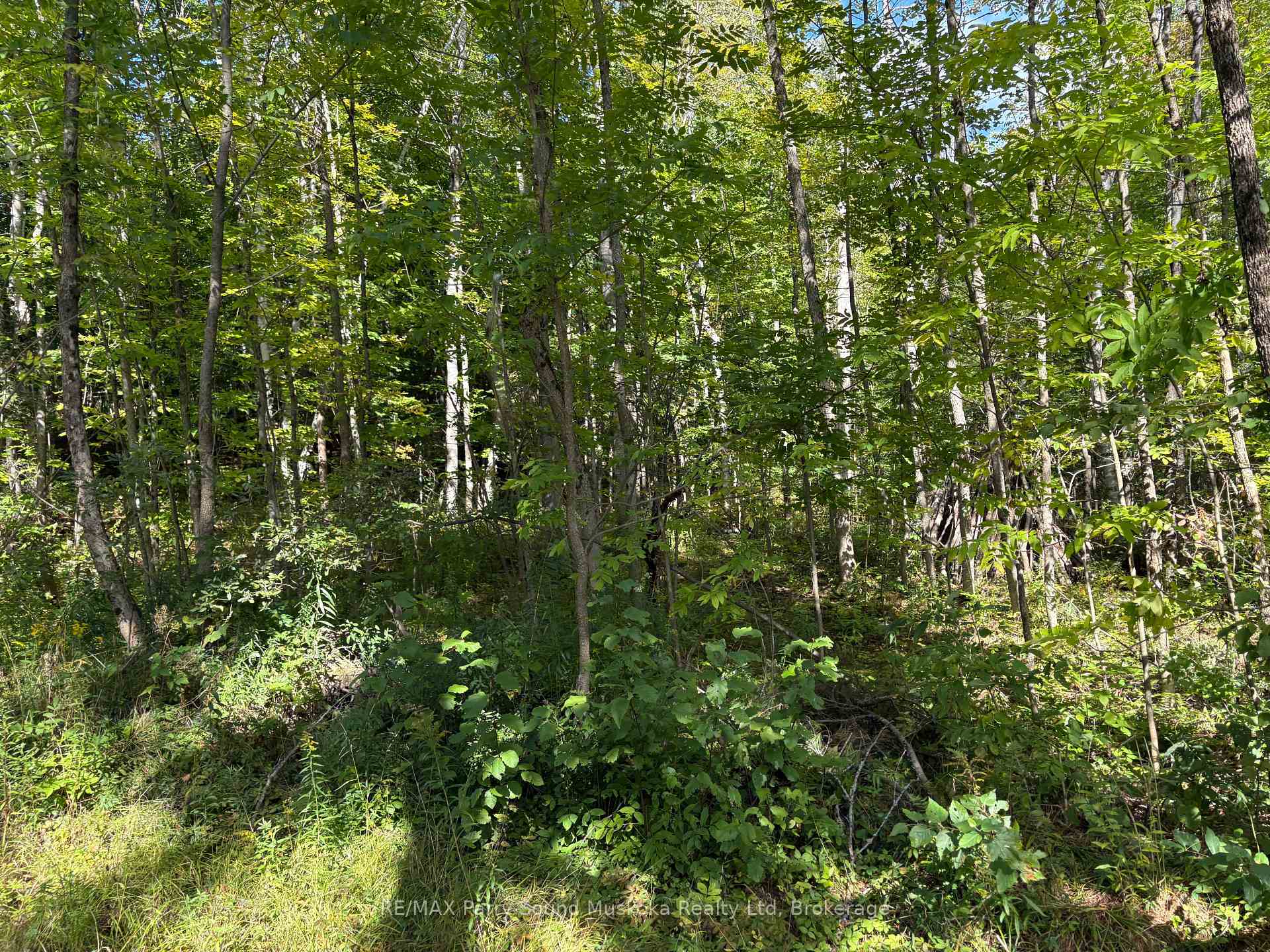 Photo 6 of Pine Road, Magnetawan — HOMEH