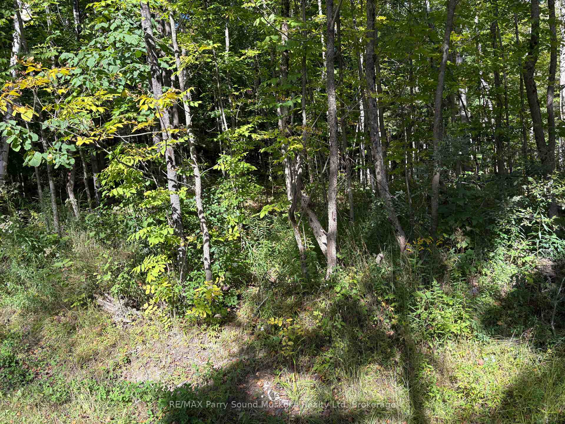 Photo 7 of Pine Road, Magnetawan — HOMEH