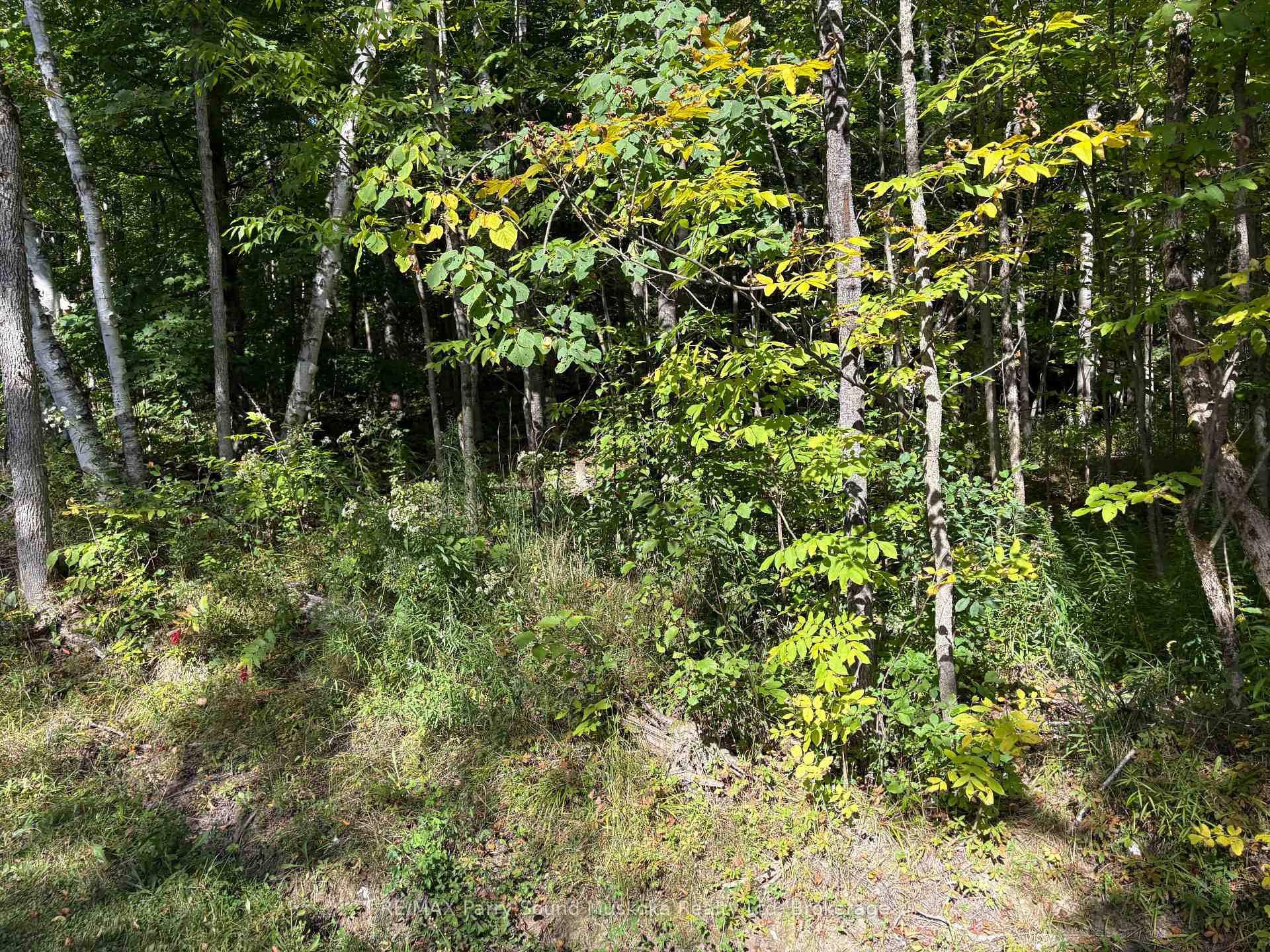 Photo 8 of Pine Road, Magnetawan — HOMEH