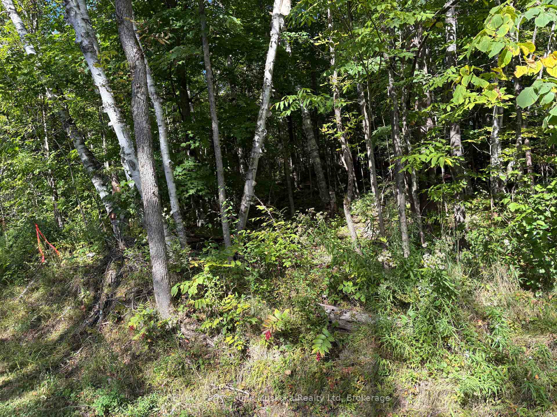 Photo 9 of Pine Road, Magnetawan — HOMEH