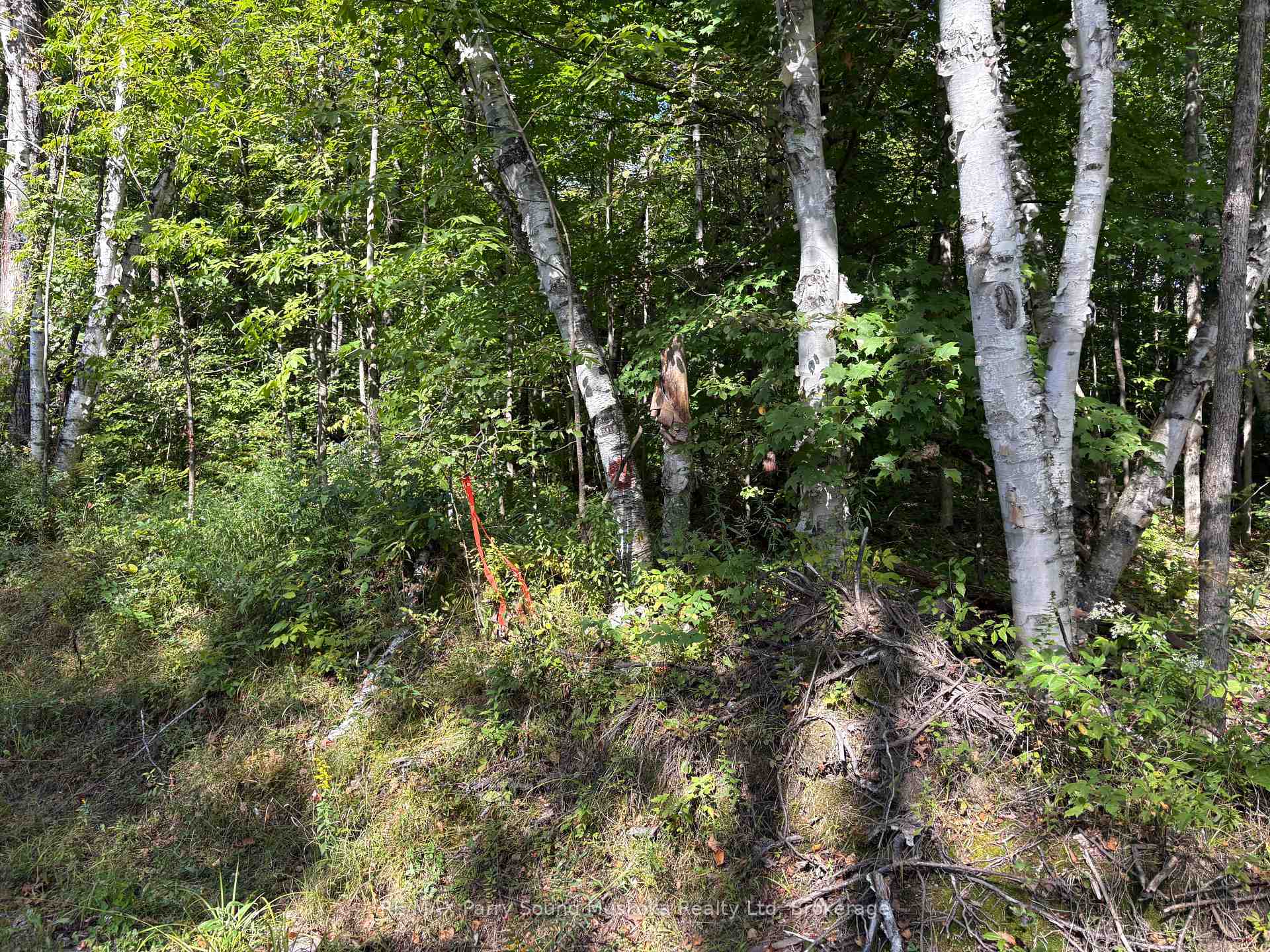 Photo 10 of Pine Road, Magnetawan — HOMEH