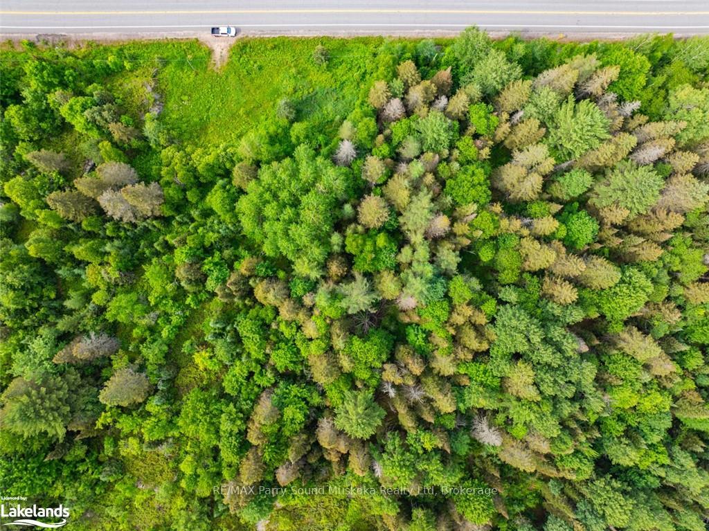 Photo 13 of 7281A Highway 124, Magnetawan — HOMEH