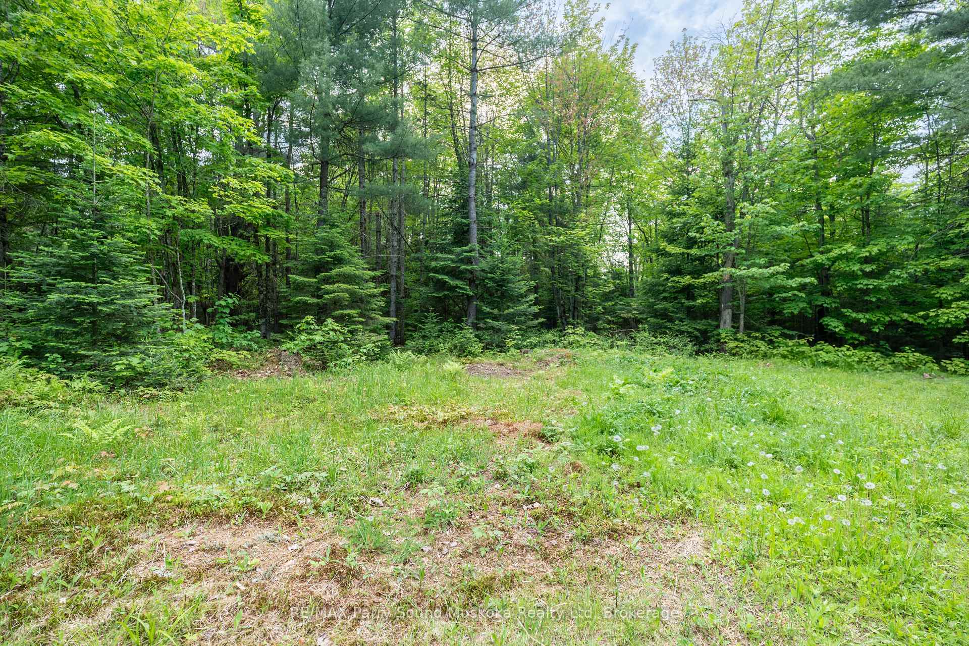 Photo 26 of 141 Middle Road, McMurrich/Monteith, Monteith — HOMEH