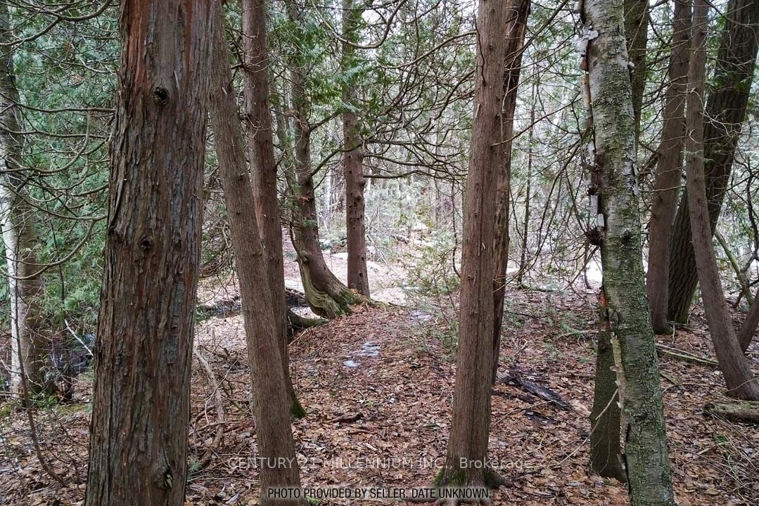 Photo 43 of 18599 Horseshoe Hill Road, Caledon, Rural Caledon — HOMEH