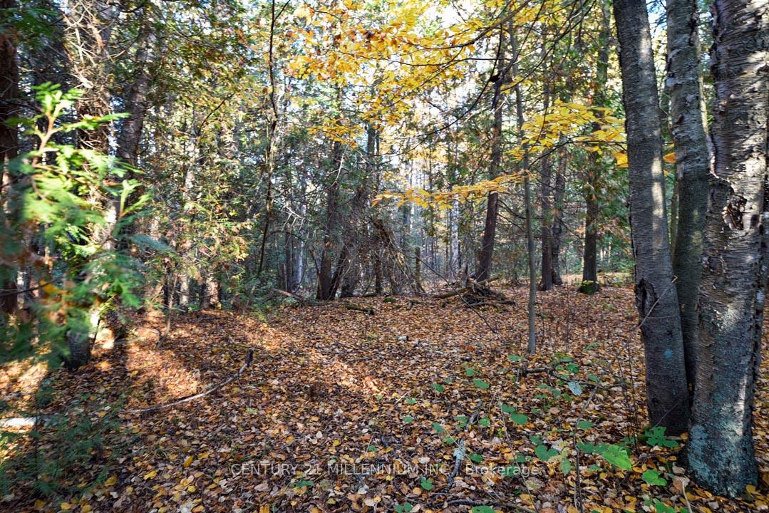 Photo 45 of 18599 Horseshoe Hill Road, Caledon, Rural Caledon — HOMEH