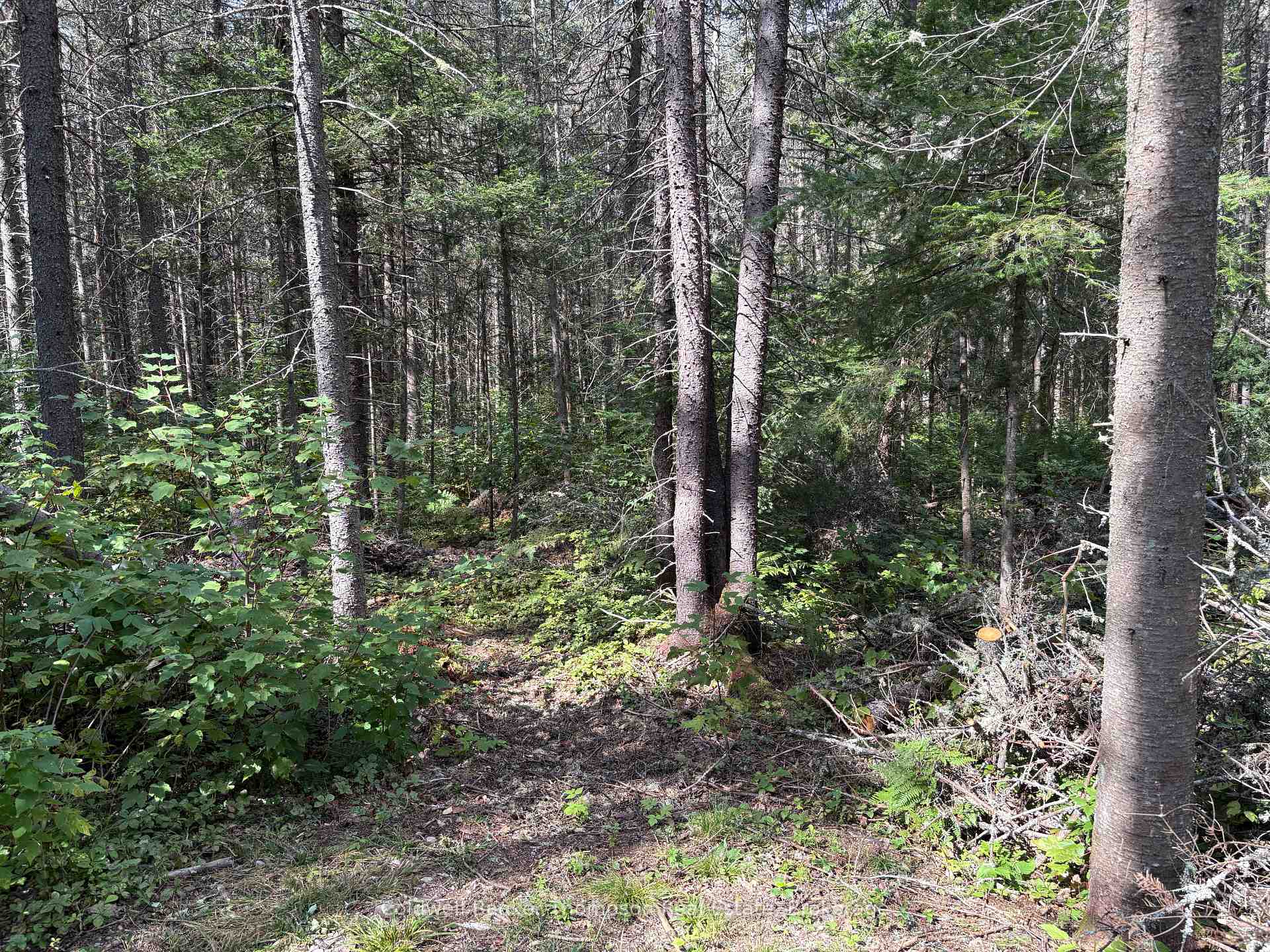 Photo 26 of 215B Paisley Road, Joly — HOMEH