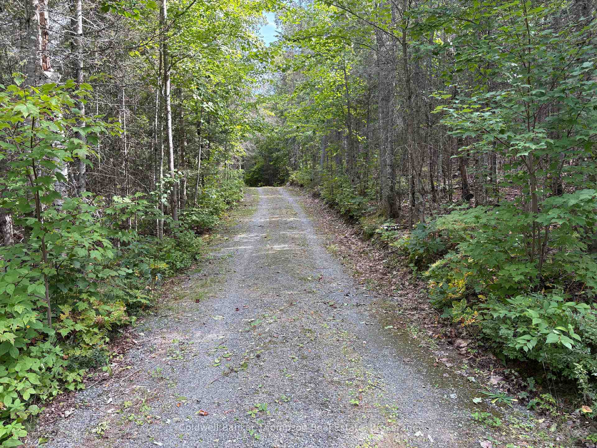 Photo 32 of 215B Paisley Road, Joly — HOMEH