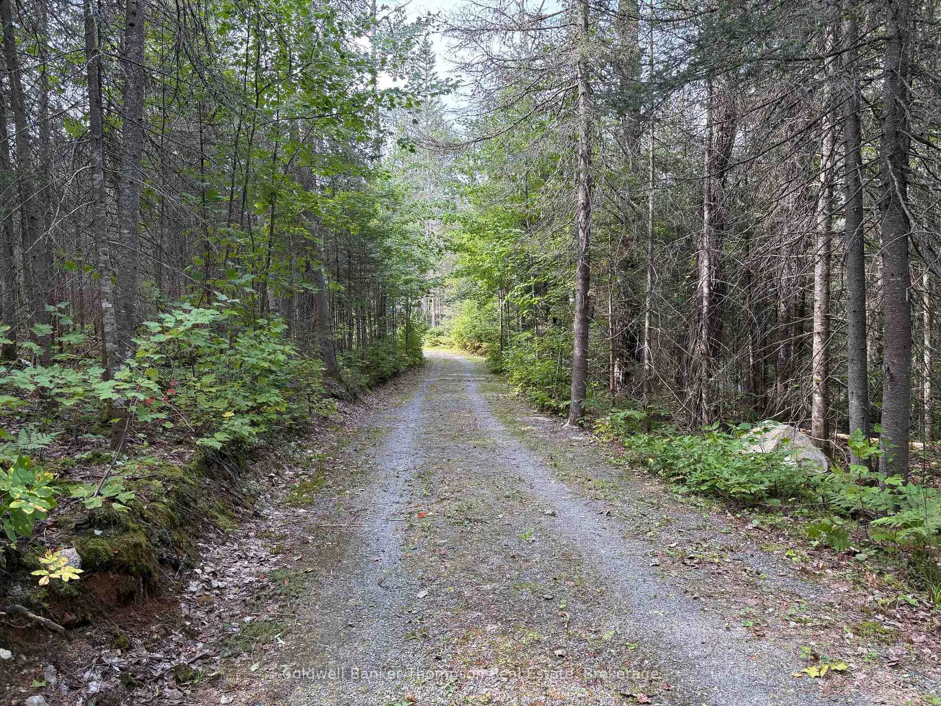 Photo 35 of 215B Paisley Road, Joly — HOMEH