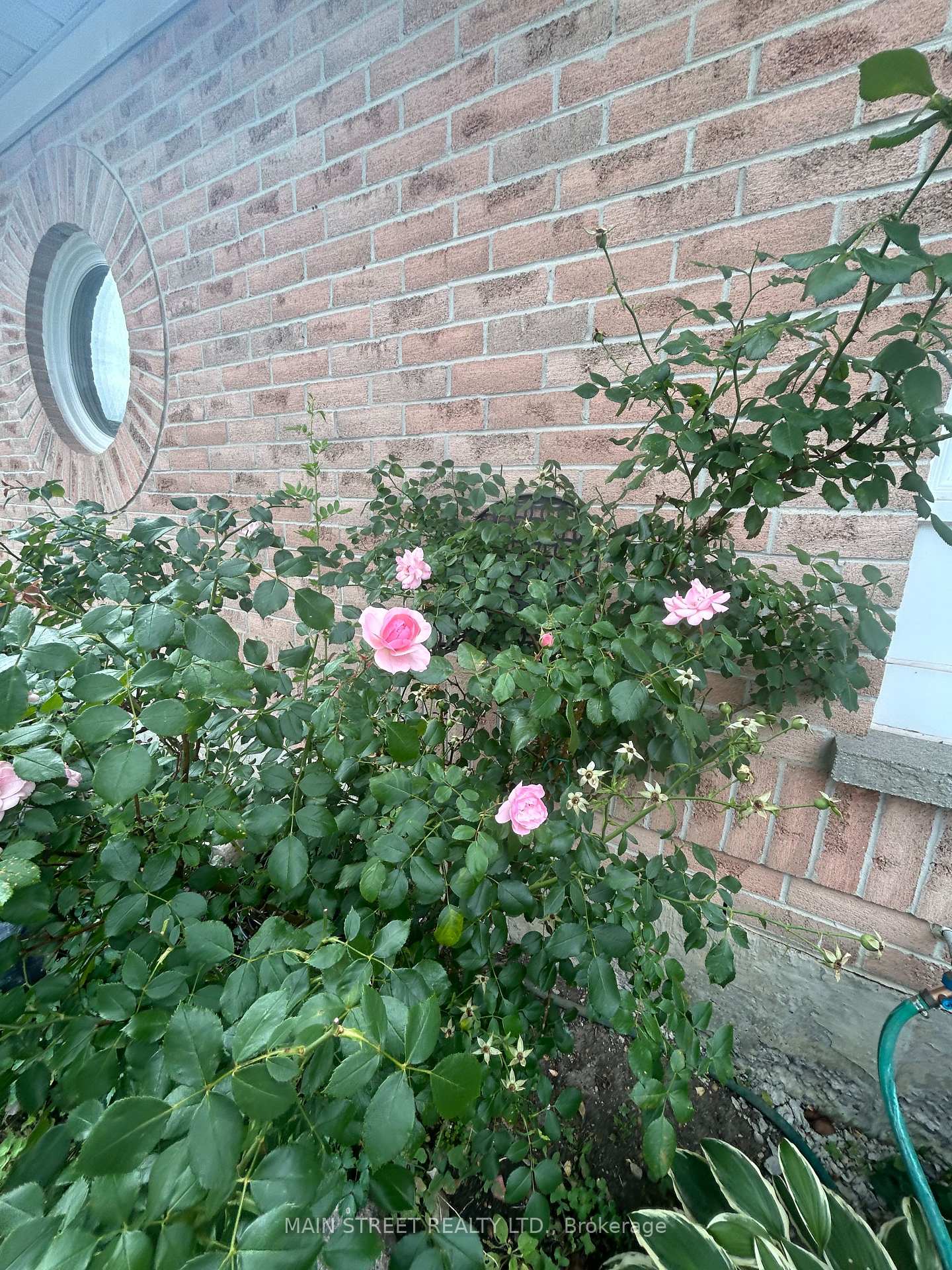 Photo 10 of Unit 72, 19 Wickstead Court, Brampton, Sandringham-Wellington — HOMEH
