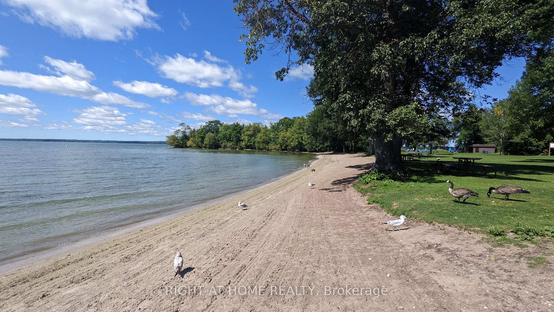 Photo 41 of 4041 Glen Cedar Drive, Ramara, Rural Ramara — HOMEH