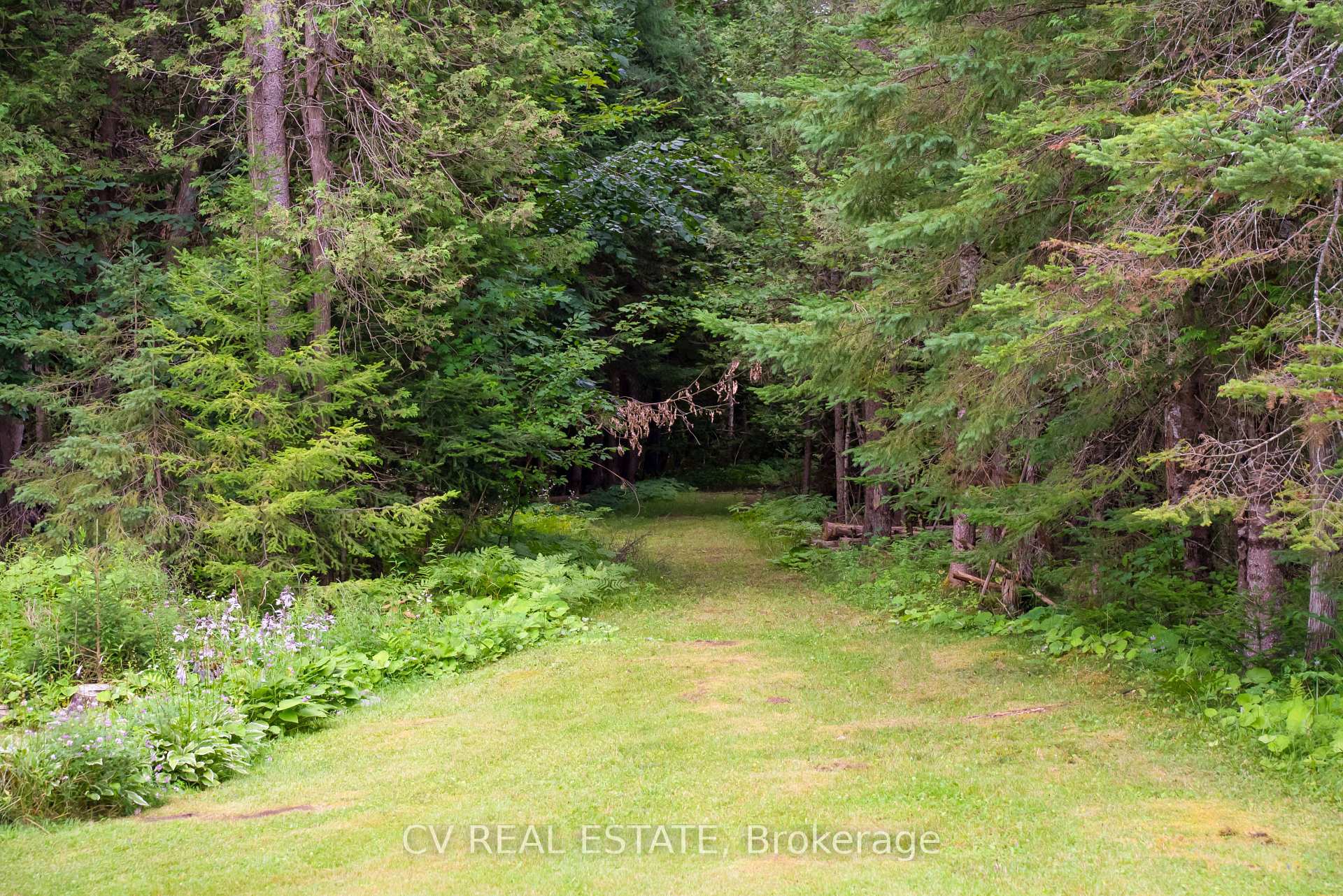Photo 48 of 2090 County 121 Road, Kawartha Lakes, Somerville — HOMEH