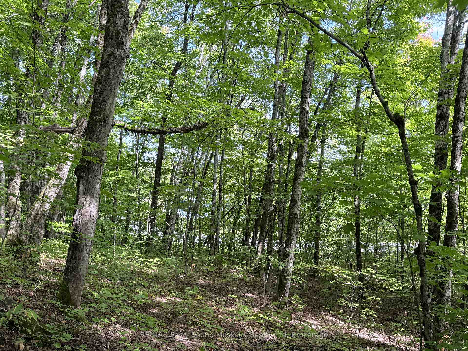 Photo 8 of 0-150 Tait's Island Road, McKellar — HOMEH