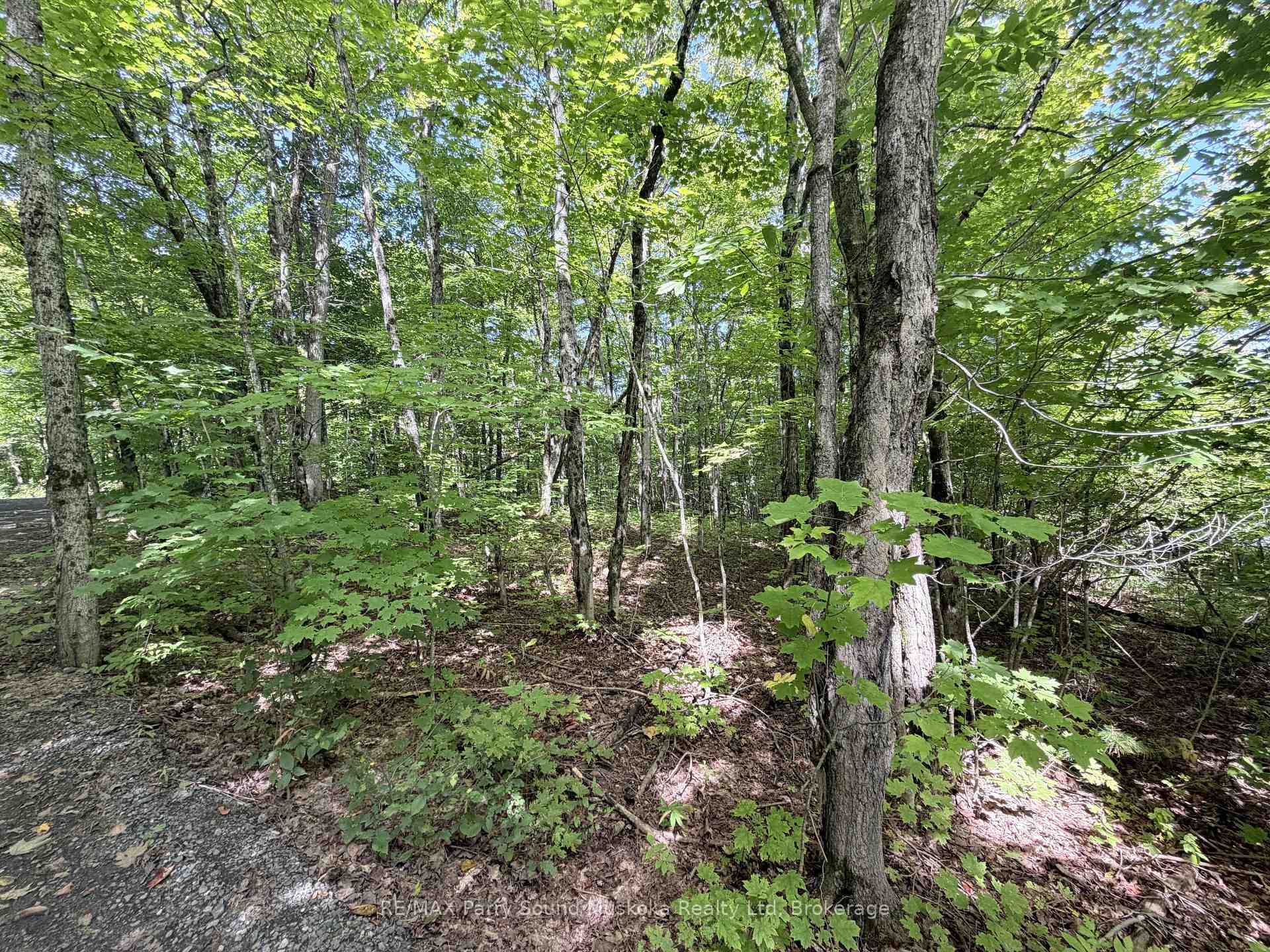 Photo 9 of 0-150 Tait's Island Road, McKellar — HOMEH